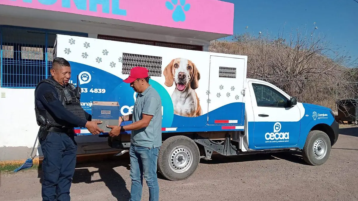 RESCATAN A 6 CACHORROS DE UNA ALCANTARILLA